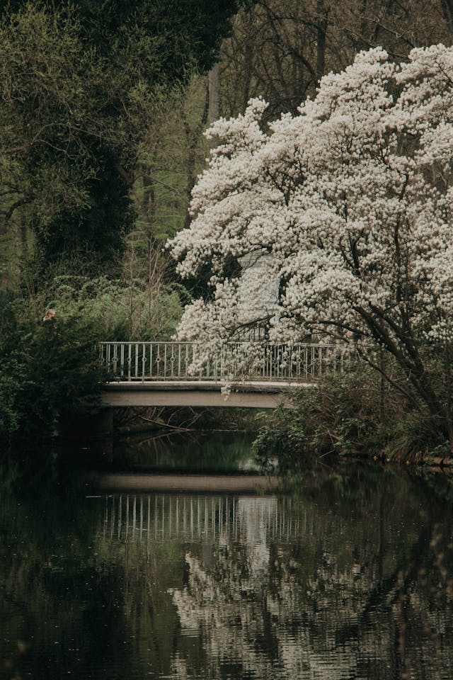 Secrets of Longevity Science: Live Longer and&nbsp;Healthier